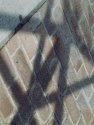 Shadows I