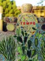 Tempe mosiac