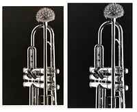 Toned photo with untoned photo