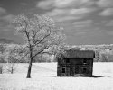 Old House - Rollei IR w/ #87