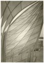 Curves on Cykora
