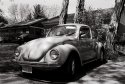 Black and White Punch Buggy, no punchbacks