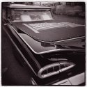 el camino