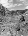 Tanygriseau