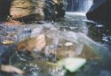 Kilgore Falls