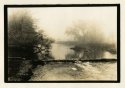 Foggy morning 3