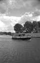 The Boston Belle