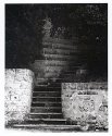 Steps Bermunda 2007
