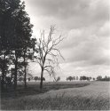Wendland