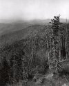 Clingmans Dome