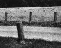 Posts