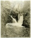 pecca twin falls