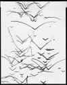Untitled #1