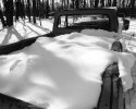 Bed of Shadows