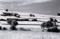 Ashey Infrared