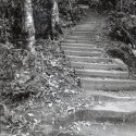Furber Steps