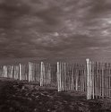 Beach Fence