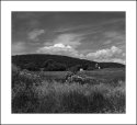 Field, Silo,Barn and Clouds