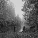 The gate to the River