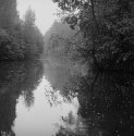 Rainy river