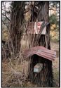 Great mailbox