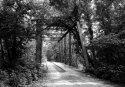 Old Oklahoma Bridge