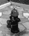 Black Fire Hydrant on 2302