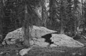 Boulder/High Uintas/Utah
