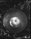 Apple in Bowl