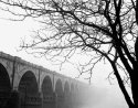 Susquehanna in Fog