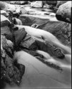 Sespe Creek, Bronto