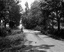 Old Wood Bridge, Old Lens