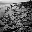 Lydney harbour