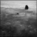 Sea groyne study
