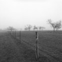 Early Morning on Texas Ranch