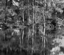 Brogo river flood