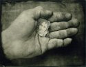 "Hand/Fragment"