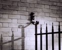 Shadow