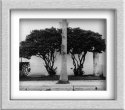 Doubletree, Bermuda 2007