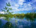 Nose hill waters 2