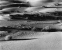 Algodones Dunes, Looking North, 2003