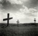 Crosses