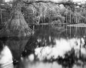 fish eating creek #7