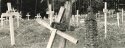 Bearing a Cross