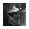 Beacon Stream 2