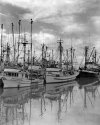 Fishboats #001