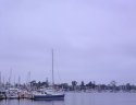 Sailboats - Glorietta Bay