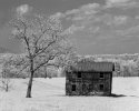 Rollei IR prototype test