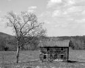 Same thing, Rollei R3 red filtered
