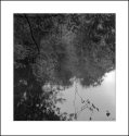 Beacon Stream 3